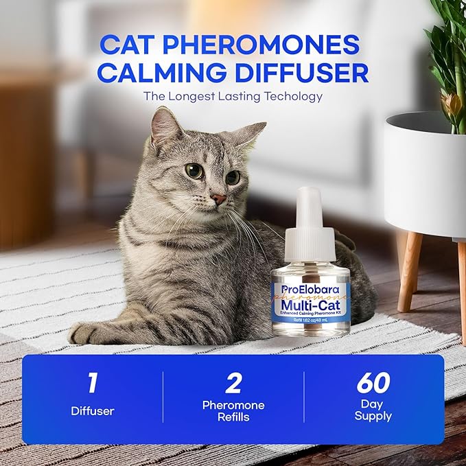 Cat Calming Pheromone Diffuser: Cat Calming Pheromones Diffusers for Multicat - Reduces Stress and Anxiety with Calming Pheromones - Helps Control Bad Behavior with Calm Pheromone 1 Pack/60 Day Supply