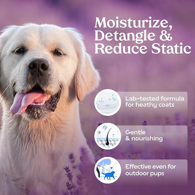 PAWFUME Premium Grooming Spray Dog Spray Deodorizer Perfume For Dogs - Dog Cologne Spray Long Lasting Dog Sprays - Dog Perfume Spray Long Lasting After Bath- Dog deodorizing Spray (Lavender, 4-Pack)