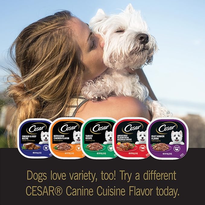 CESAR HOME DELIGHTS Adult Wet Dog Food & Classic Loaf in Sauce Breakfast & Dinner Variety Pack, (24) 3.5 oz. Easy Peel Trays