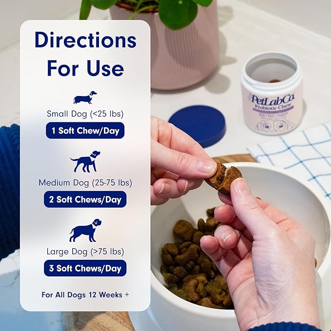 PetLab Co. Probiotics for Dogs, Support Gut Health, Diarrhea, Digestive Health & Seasonal Allergies - Salmon Flavor - 30 Soft Chews