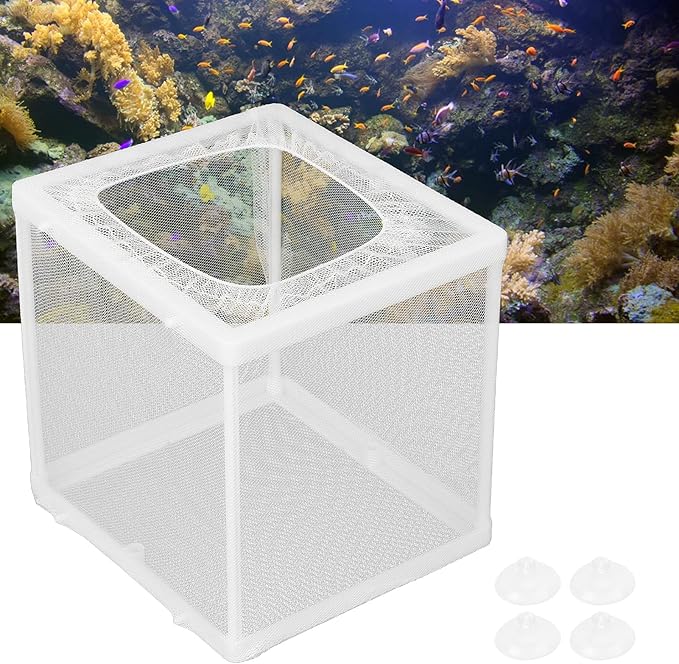 HEEPDD Aquarium Fish Breeder Box Isolation Box Breeder Hatchery Incubator with Suction Cup S