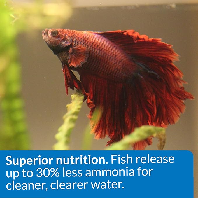 API BETTA FOOD Fish Food Pellet .78-Ounce Container