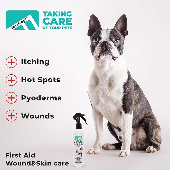 Forticept Maxi-Wash Hot Spot Spray, Wound Care and Skin Treatments, Itch Relief, First Aid and Paw Cleanser for Dogs, 4 Fl Oz