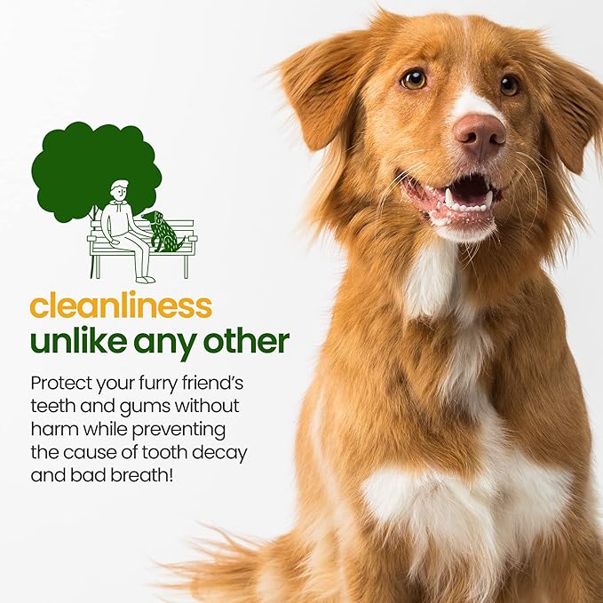 Gerrard Larriett: Natural Dog and Cat Breath Freshener - Dog Mouthwash with Mint, Aloe Vera, & Baking Soda - Gentle Cat & Dog Breath Spray for Plaque, Tartar Control for Full Pet/Dog Oral Care, 8 oz