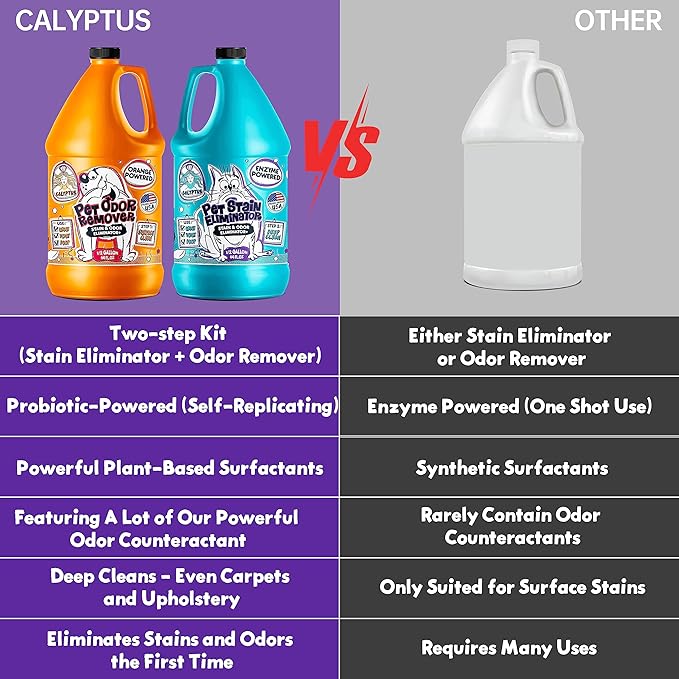 Calyptus Pet Stain and Odor Remover | Orange and Enzyme Cleaner Duo Solution for Pets | 128oz (64oz x 2 Bottles) | Carpet Cleaner and Odor Eliminator for Cat Urine, Dog Pee, and Poop | Pro Strength