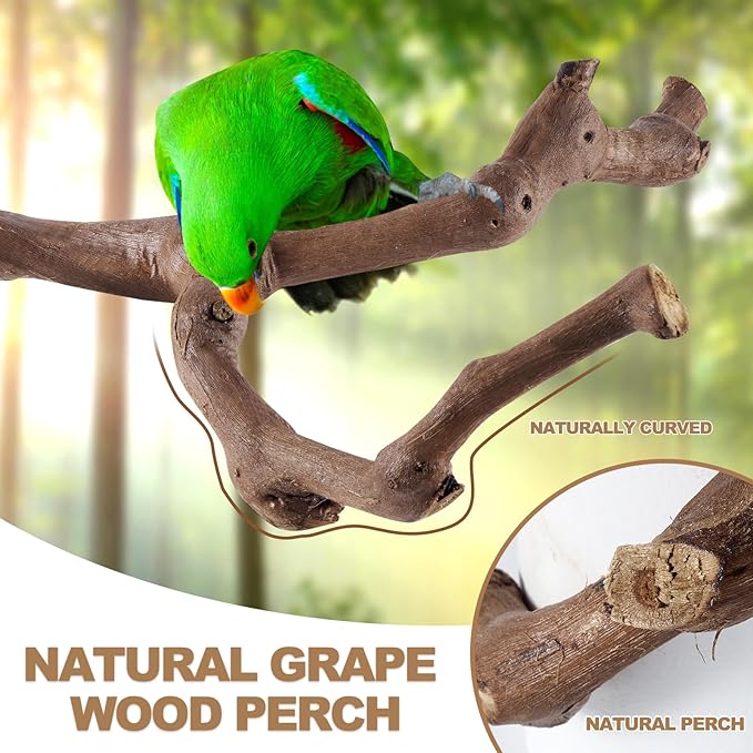 6PCS Bird Perch 2 Grape Stick Paw Grinding Fork Natural Wood Bird Stand 4 Parrot Stand Bird Toys for Parakeets Chewing Exercise Branches, Bird Cage Accessories for Cockatiels, Conure, Budgies