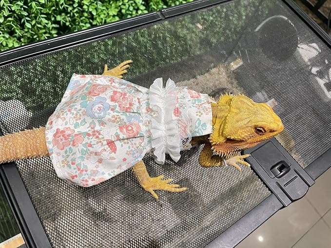 Lizard Dress for Bearded Dragon - Handmade Cotton Tutu Skirt with Lace Princess Sundress Halloween Costume Photo Cosplay Party for Reptile Lizard Bearded Dragon Crested Gecko Chameleon (M, Pink)