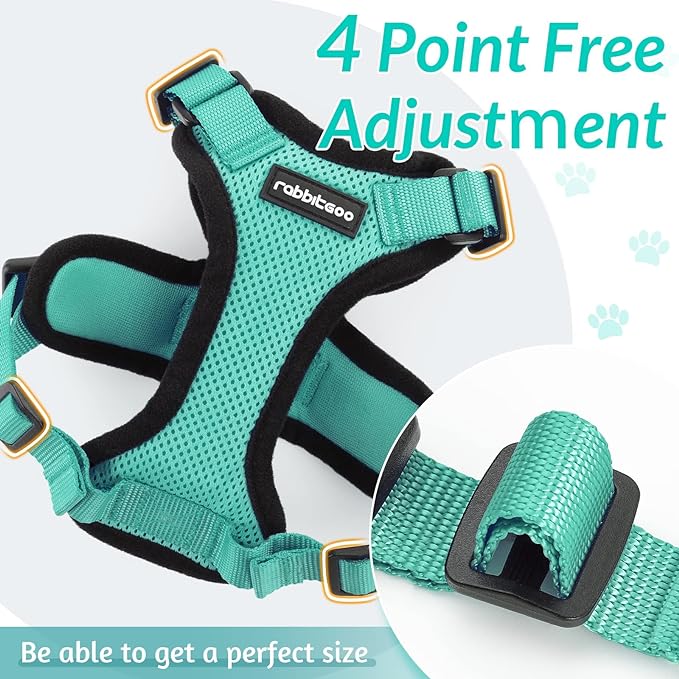 rabbitgoo Cat Harness and Leash for Walking, Escape Proof Soft Adjustable Vest Harnesses for Cats, Easy Control Breathable Reflective Strips Jacket, Emerald, XS