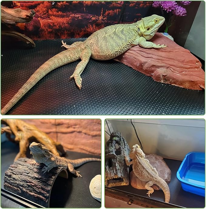 3Pcs Bearded Dragon Tank Accessories, Reptile Carpet, Reptile Mat Warming Reptile for Leopard Gecko Lizard Bearded Dragon Tank Accessories