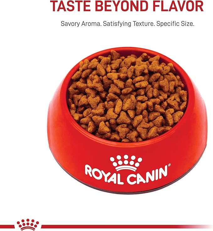 Royal Canin Pug Puppy Breed Specific Dry Dog Food, 2.5 Lb Bag