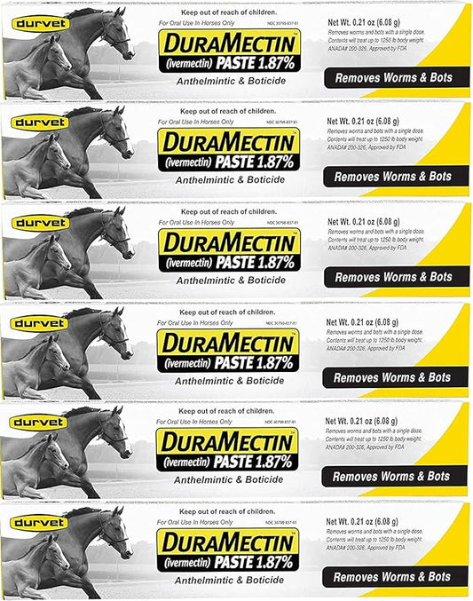 Durvet Duramectin Equine Wormer Paste - 6 Tubes