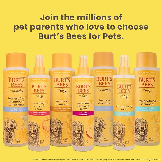 Burt's Bees for Pets Puppies Naturally Derived Tearless 2 in 1 Shampoo and Conditioner - Made with Buttermilk and Linseed Oil - Best Tearless Puppy Shampoo for Gentle Skin, 16 Oz - 6 Pack