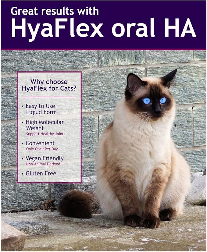 Hyalogic HyaFlex Hyaluronic Acid for Cats – Premium Cat Products for Joint, Skin, Eye, and Coat Maintenance – Natural Cat Joint Supplement (30ml)