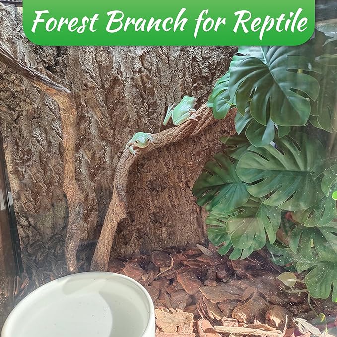 Reptile Branch Decor Snake Climbing Wood Branches Lizard Habitat Decorations Terrarium Natural Forest Tree Trunk Ornament for Bearded Dragon Geckos Chameleon Frog 6 Pcs - S