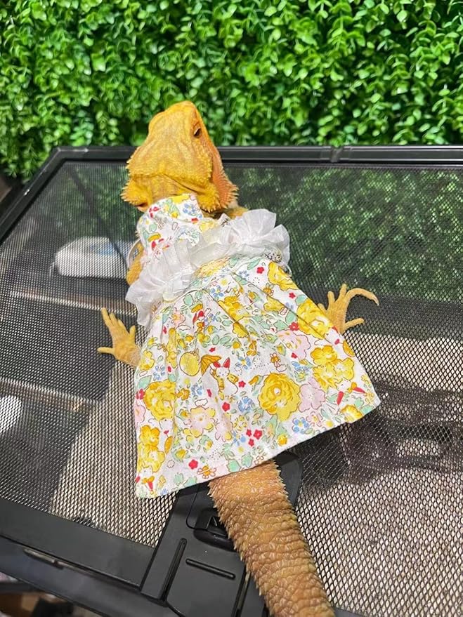 Lizard Dress for Bearded Dragon - Handmade Cotton Tutu Skirt with Lace Princess Sundress Halloween Costume Photo Cosplay Party for Reptile Lizard Bearded Dragon Crested Gecko Chameleon (M, Yellow)