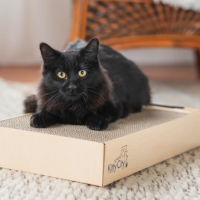 Kitty City Catnip Infused Scratcher with Ball Track