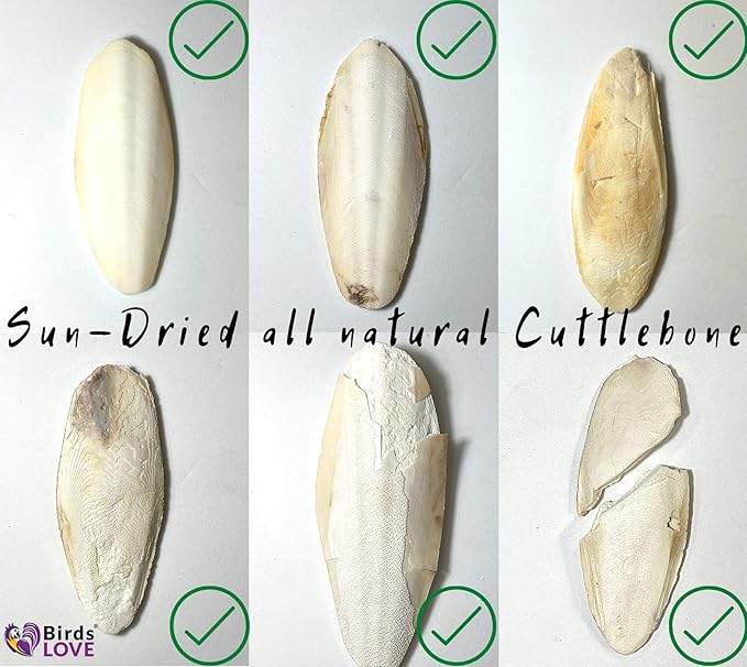 Birds LOVE Natural Cuttlebone – Premium Calcium for Cockatiel, Parrots, Tortoise, Snails, Crabs and Chinchillas - Pure Cuttlebone for Birds - Parakeet Food and Bird Treats - 4 Pack, Size 3.5 to 4"