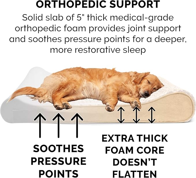 Furhaven Orthopedic Dog Bed for Large/Medium Dogs w/ Removable Washable Cover, For Dogs Up to 38 lbs - Ultra Plush Faux Fur & Suede Luxe Lounger Contour Mattress - Cream, Large