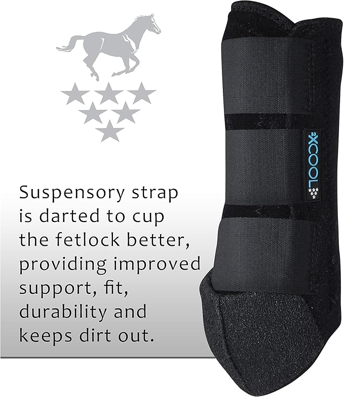 Professional's Choice 2XCOOL Sports Medicine Horse Boots | Protective & Breathable Design for Ultimate Comfort & Durability in Active Horses | Value 4 Pack | Small, Medium, Large