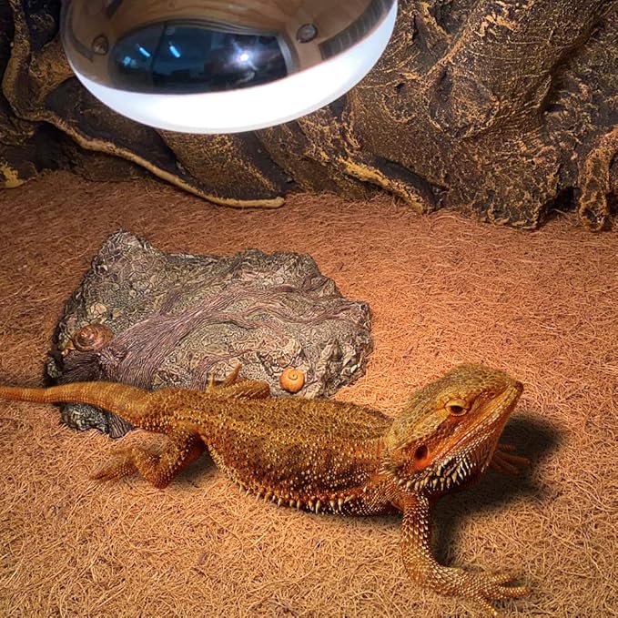 Reptile Carpet Mat, Coconut Fiber Liner,Snake Bedding,Lizard Cage Mat/Substrate for Snakes, Chameleons, Geckos ands Kitchen Use (30"x12"（2pc）)