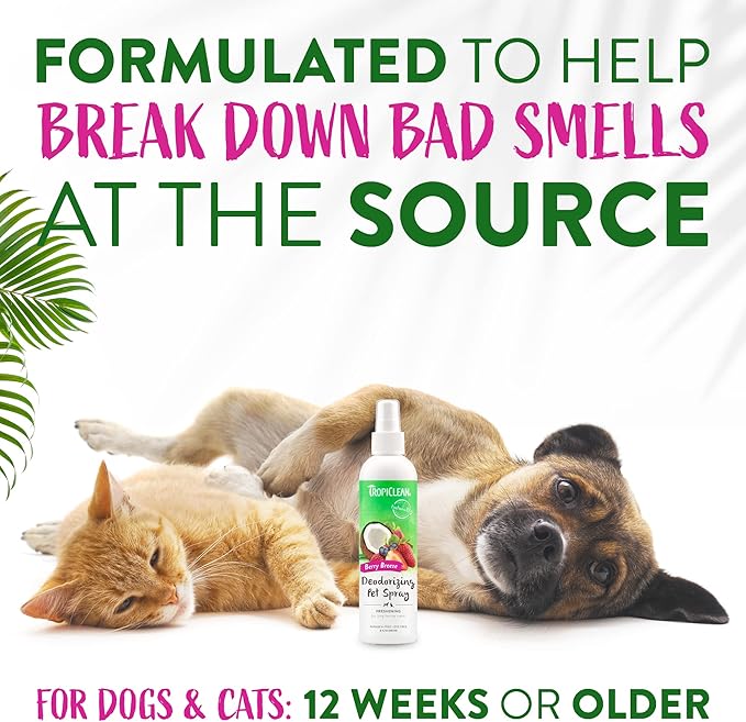 TropiClean Berry Breeze Dog Perfume Spray Long Lasting | Naturally Derived Odor Removing Dog Deodorizing Spray | Cat Friendly | Made in USA | 8 oz.