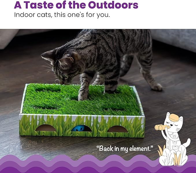 Catstages Grass Patch Hunting Box Cat Toy