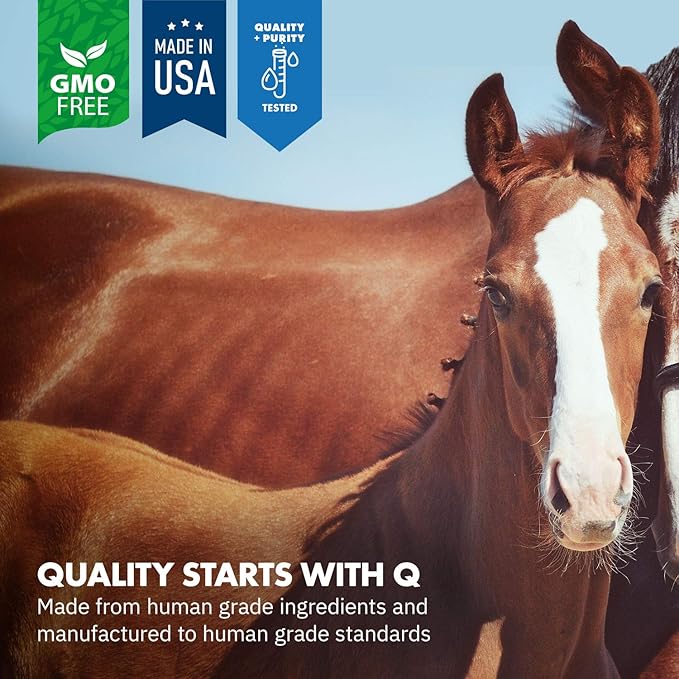 HealthyGut Foal Kit for Horses Dietary Supplement, All-Natural Formula (14 g)