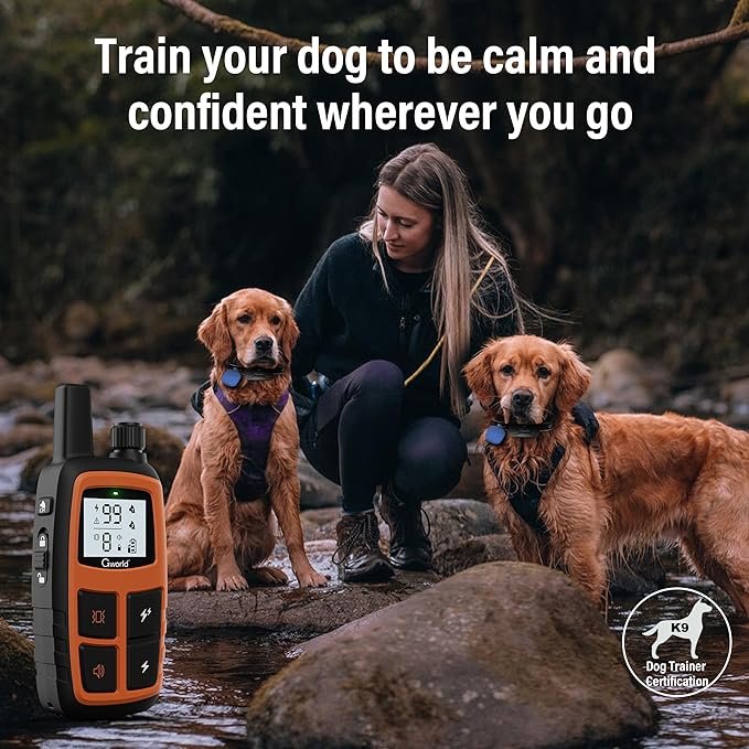 i tag Dog Shock Collar No Monthly Rent GPS trackers for Dogs (Only iOS) with Smart Tracker 2 in-1 Dog Training Collar with Remote Innovative IPX7 Waterproof, for All Breeds Sizes