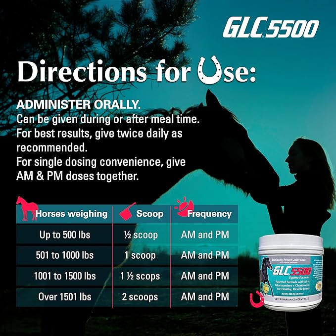 GLC 5500 Equine Formula - Glucosamine Chondroitin Joint Supplement for Horses - with All Four Types of Glucosamine for Healthy, Flexible Joints - 100% Pure Powder Concentrate - 38.12oz, 90 Day Supply