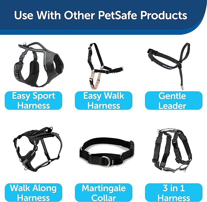 PetSafe Nylon Dog Leash - Strong, Durable, Traditional Style Leash with Easy to Use Bolt Snap - 1 in. x 4 ft., Black