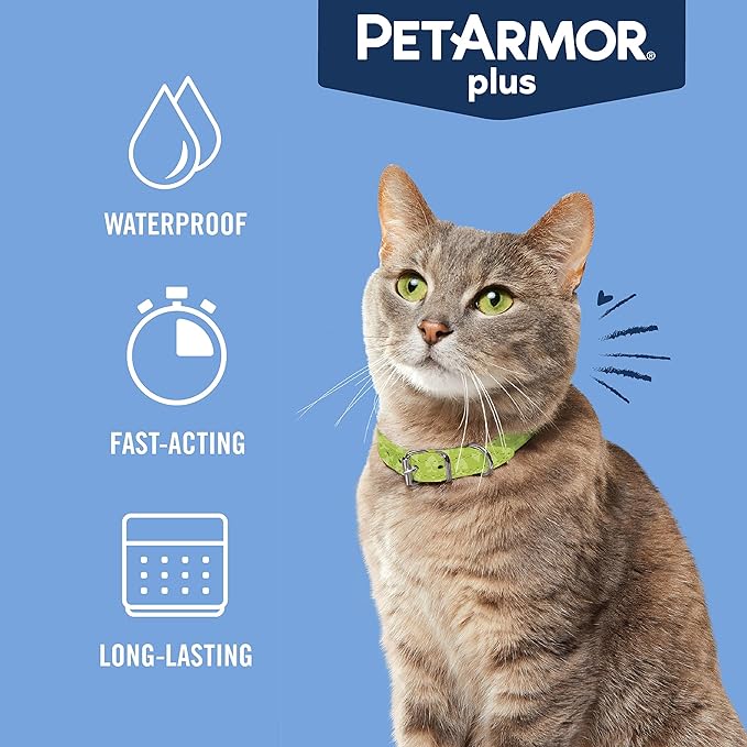 PetArmor Plus Flea and Tick Prevention for Cats, Cat Flea and Tick Treatment, 12 Doses, Waterproof Topical, Fast Acting, Cats Over 1.5 lbs