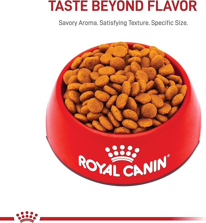 Royal Canin Medium Breed Adult Dry Dog Food, 17 lb bag