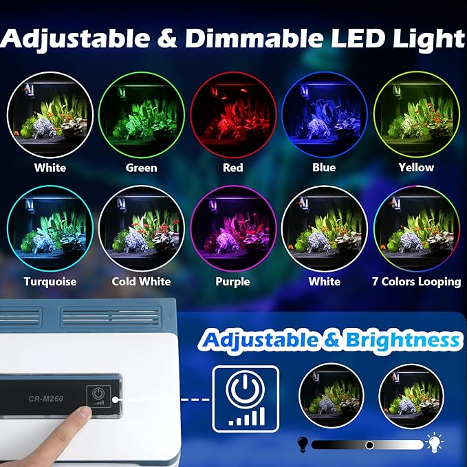 Small Fish Tank 2 Gallon Glass Aquarium Starter Kits Self Cleaning w/Colorful LED Light for Betta Shrimp Guppy Jellyfish Goldfish Beta,Room Decor Desktop, Gifts