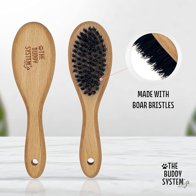 The Buddy System Cat Brush with Boar Bristle and Wooden Handle, Professional Grade Daily Grooming Hairbrush, Reduce Shedding, Soft Hair and Healthy Shine (2 Pack)