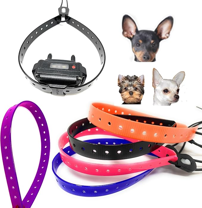 Replacement GPS eCollar with Adjustable Bungee, Multi-Hole Design, and Secure Toggle Closure for Small Dogs (Black, Small Neck)