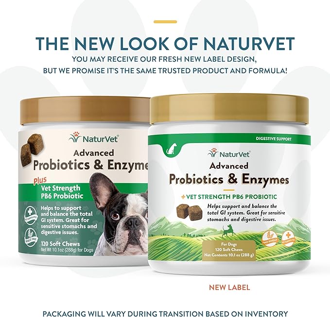 Veterinarian Strength Advanced Probiotics, Healthy Enzymes and PB6 Probiotic Supplement For Your Dogs Stomach, Intestine, Digestion and GI Tract health, Made by NaturVet, 120 Soft Chews