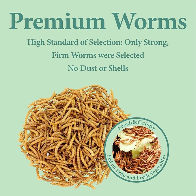 5LB Dried Mealworms, Great Treat for Chicken, Duck, Birds, Reptile, Hamster,Hedgehog, Pigeon