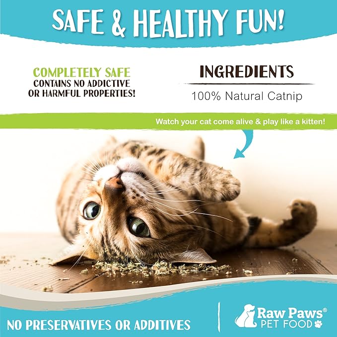 Raw Paws Natural Catnip for Cats, 1-oz - Use for Refillable Catnip Toys for Cats - Catnip Treats for Cats - Catnip for Dogs - Cat Nip Cat Grass - Dog Catnip - Dried Catnip Leaves & Seeds