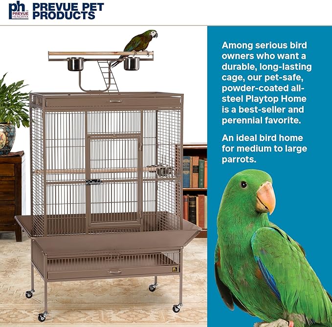 Prevue Pet Products Wrought Iron Select Bird Cage 3154COCO, Coco Brown, 36-Inch by 24-Inch by 66-Inch