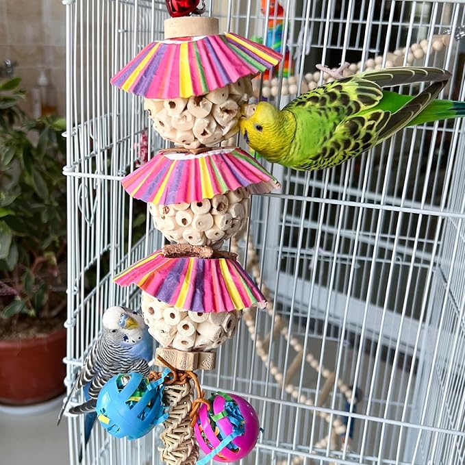 Conure Toys, Natural Bird Sola Ball Chewing Toys, Hanging Bird Parrot Foraging Shredder Toy with Bell for Parrots Parakeets Conures Cockatiels Budgie Cage Toy