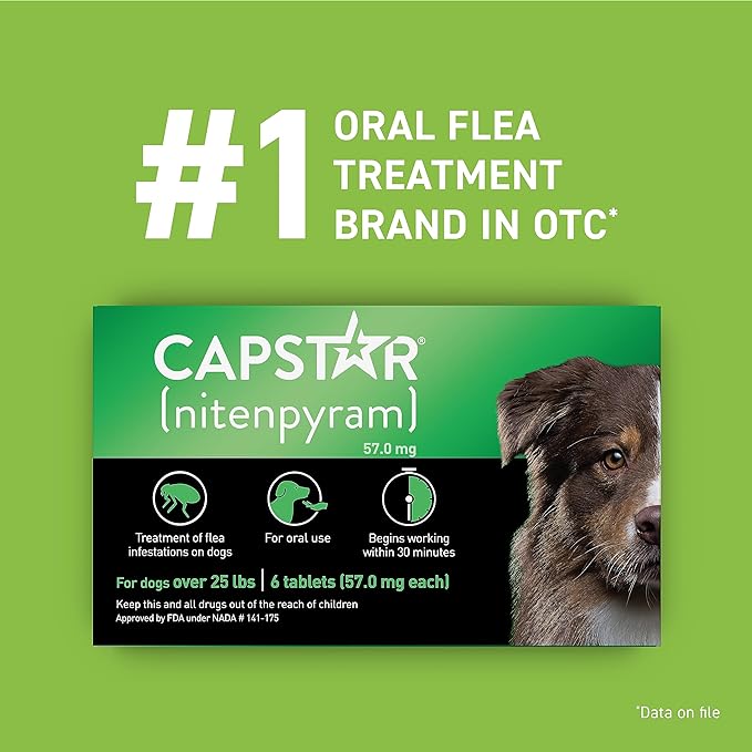 Capstar (nitenpyram) for Dogs, Fast-Acting Oral Flea Treatment for Dogs over 25+ lbs, Vet-Recommended Flea Medication Tablets Start Killing Fleas in 30 Minutes, 6 Doses