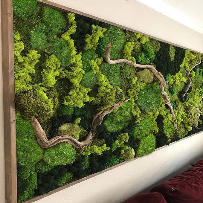 Preserved Pillow Moss Bulk Green Moss Balls for Bowls Waterproof 1.08 sq.ft Natural Green Decorative Preserved Pole Moss Pillow for Wall Art Terrariums Crafts Fairy Gardens Pot Plants Easter