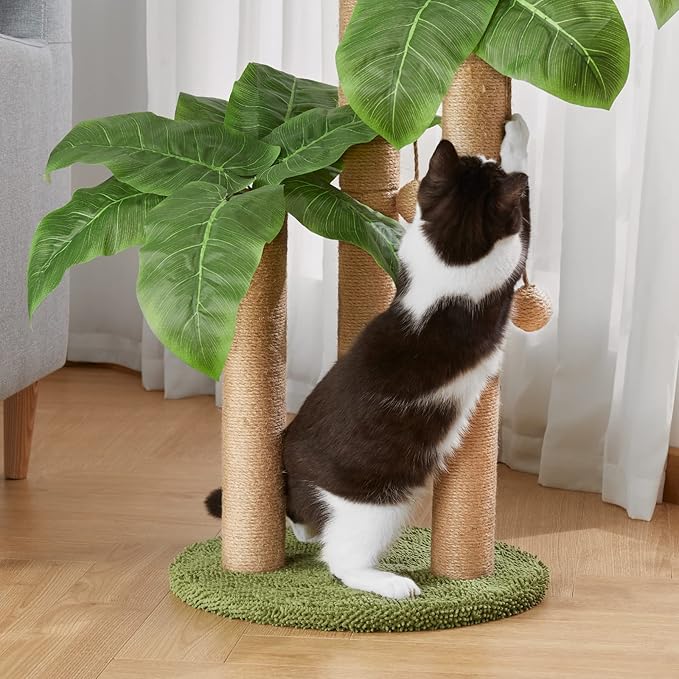 31.5Inch Cat Scratching Post,Cat Scratcher Tree with 3 Scratching Poles & 2 Interactive Dangling Balls,Cats Scratching Posts for Indoor Kitten & Adult Cats