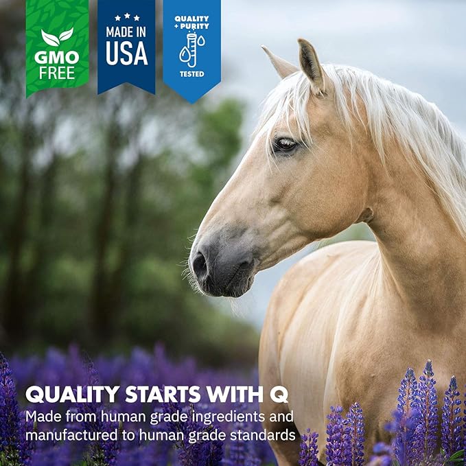 HealthyGut™ Probiotics for Horses Dietary Supplement, All-Natural Digestive System Maintenance Formula (90 Days)