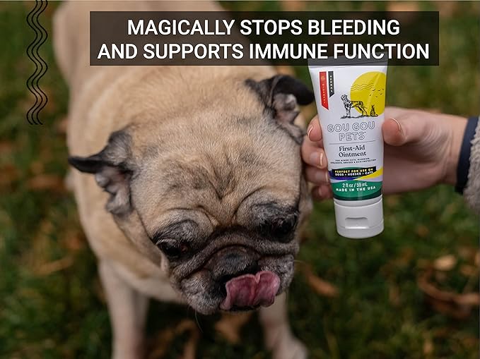 First Aid Ointment Holistic Natural Derived Herbal for Dogs, Cats, Horses for Wounds: Minor Cuts, Bleeding, Abrasions, Slow-Healing Wounds, Open and Puncture Wounds – Made in USA – 1 oz