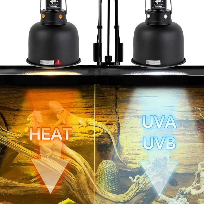 2 Pack Reptile Light Fixture, 5.5in Deep Dome Reptile Lamp Fixture, Optical Reflection Cover, Separate Switche & Hook, Terrarium Light Fixture for Reptile Heat Basking UVB Bulbs, 100W, Black