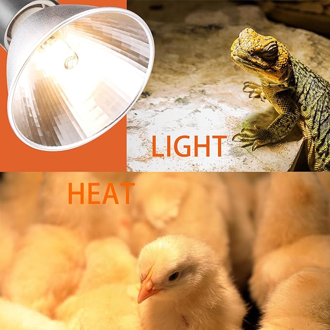 Reptile Heat Lamp Bulb Greenhouse Warming Bulb Reptile Light for Lizard, Turtle, Bearded Dragon, Hedgehogs, Snake Amphibians, Chicks, With 2 Bulb Beads (50 Watt). New Replaceable Bulbs Design