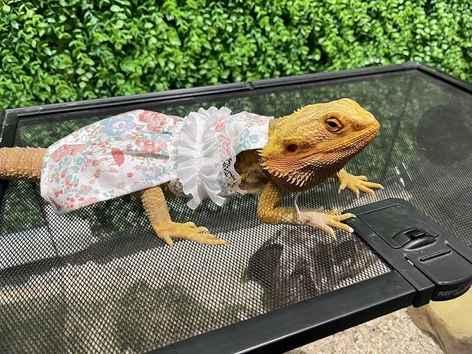 Lizard Dress for Bearded Dragon - Handmade Cotton Tutu Skirt with Lace Princess Sundress Halloween Costume Photo Cosplay Party for Reptile Lizard Bearded Dragon Crested Gecko Chameleon (M, Pink)