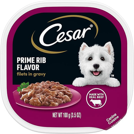 CESAR Filets in Gravy Adult Wet Dog Food, Prime Rib Flavor, 3.5 oz. Easy Peel Trays, Pack of 24