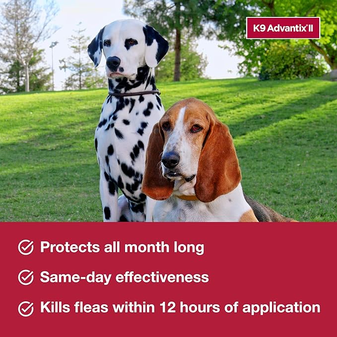 K9 Advantix II XL Dog Vet-Recommended Flea, Tick & Mosquito Treatment & Prevention | Dogs Over 55 lbs. | 8-Mo Supply